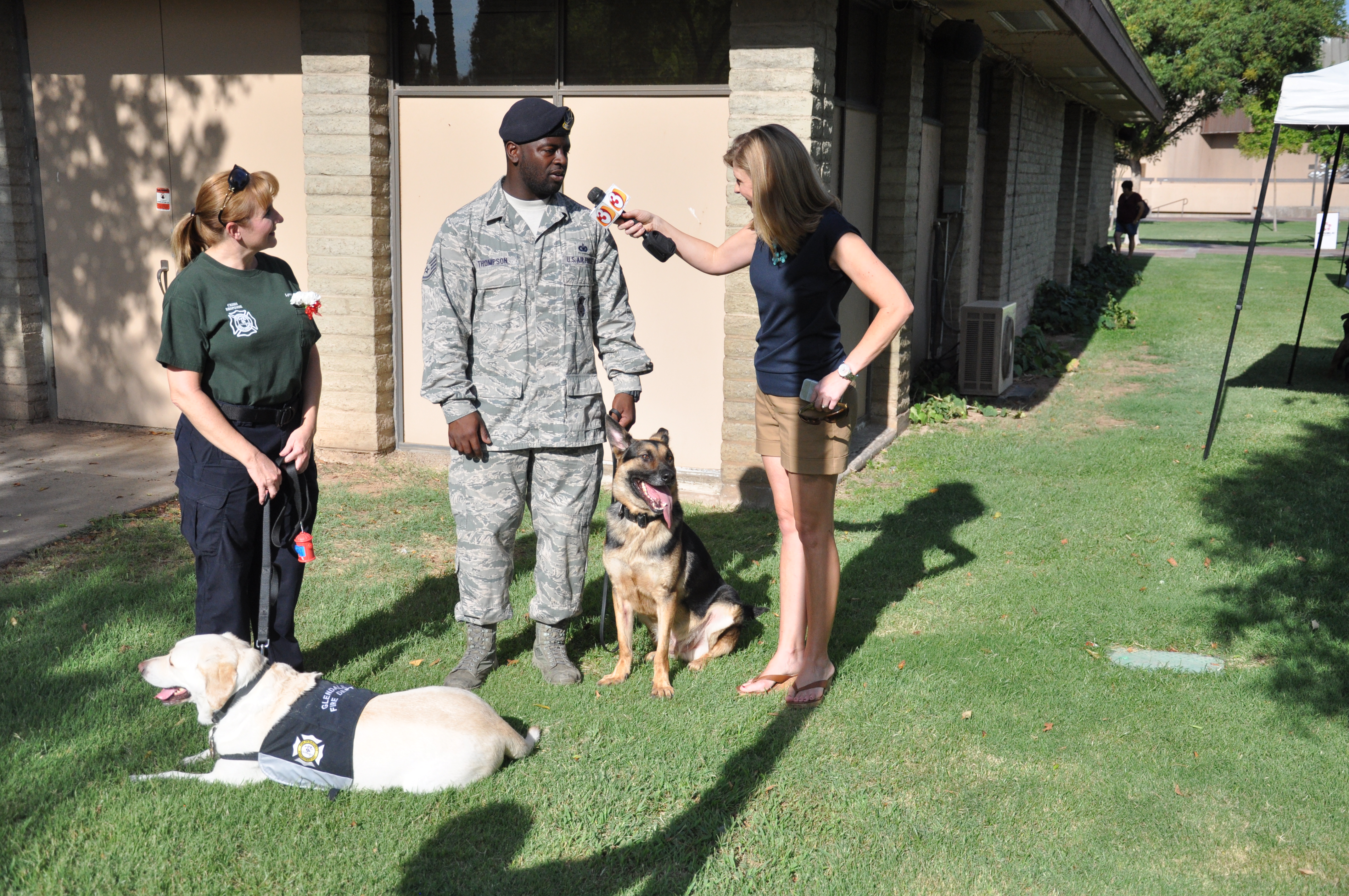 Military working dog handler interviewed by news crew with two K9s